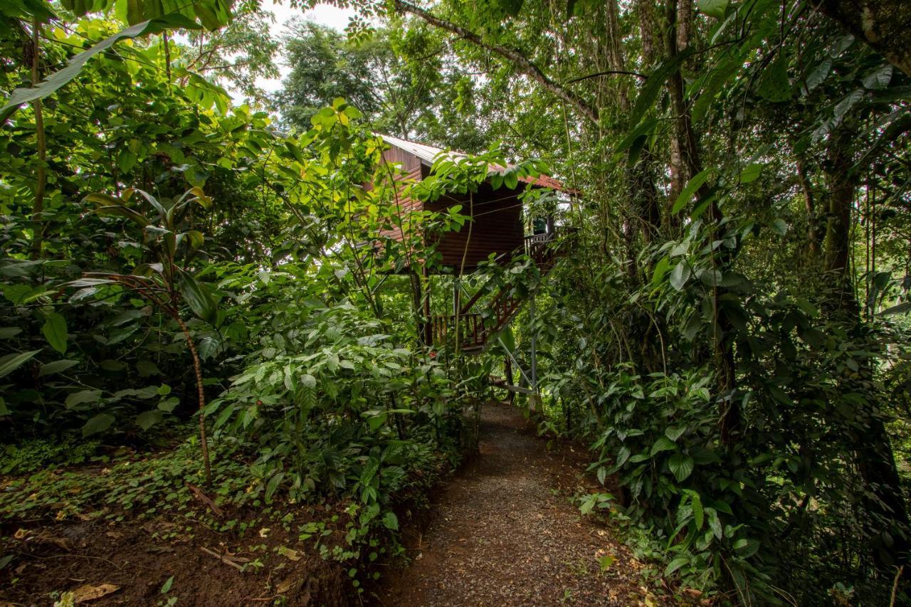 Arenal Rústic Lodge La Fortuna Exterior foto