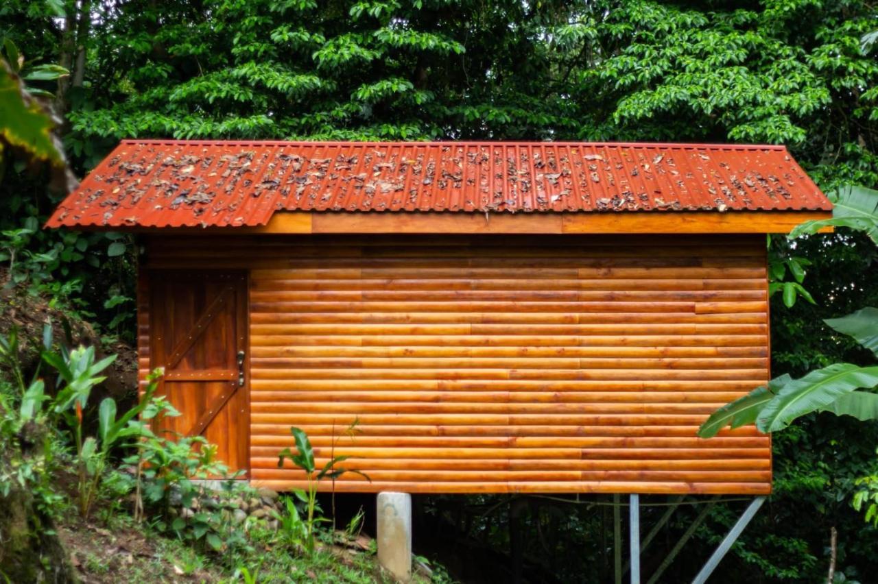 Arenal Rústic Lodge La Fortuna Exterior foto