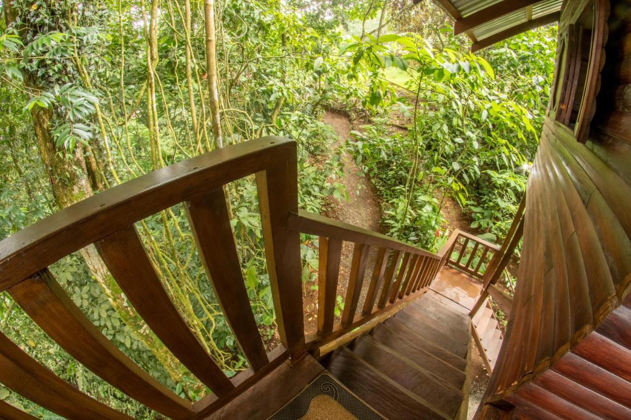 Arenal Rústic Lodge La Fortuna Exterior foto