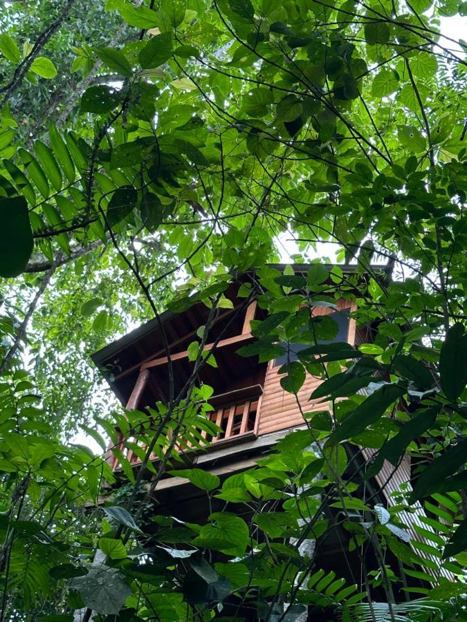 Arenal Rústic Lodge La Fortuna Exterior foto