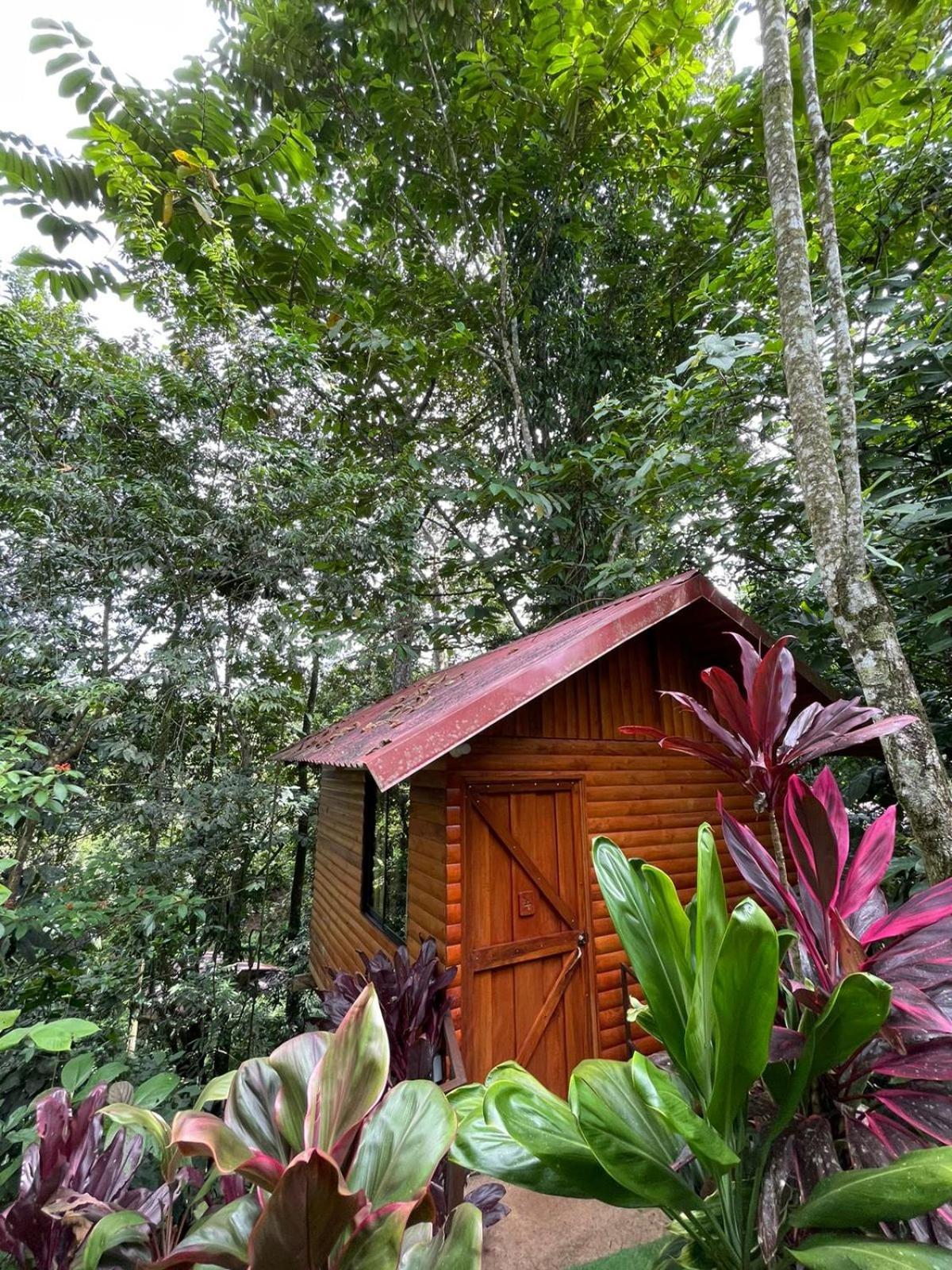 Arenal Rústic Lodge La Fortuna Exterior foto