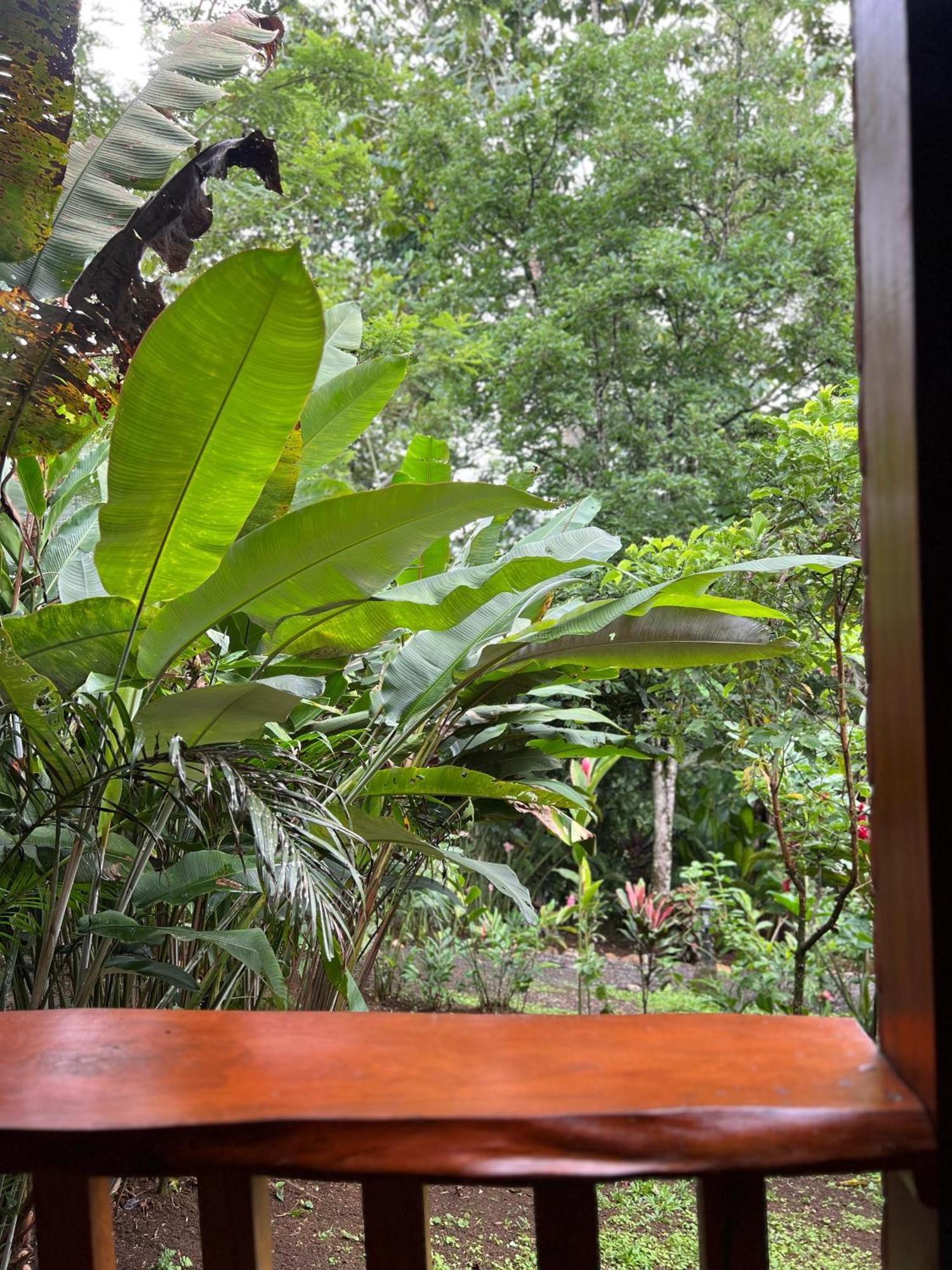 Arenal Rústic Lodge La Fortuna Exterior foto